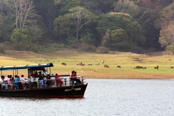 Thekkady Boat Booking