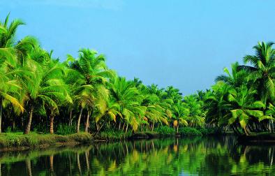 Cochin-Munnar-Thekkady-Alleppey-Cochin