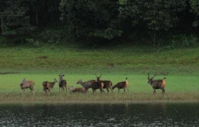 Cochin-Munnar-Thekkady-Cochin