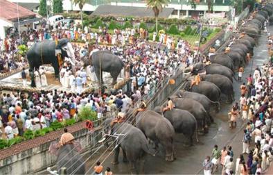 Cochin-Guruvayoor Temple-Athirappily-Munnar-Thekkady-Alleppey-Cochin